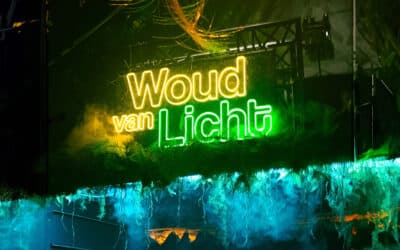 De Kaap – Woud van licht