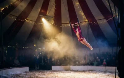 Wintercircus boeken: 5 vragen die je vooraf moet stellen